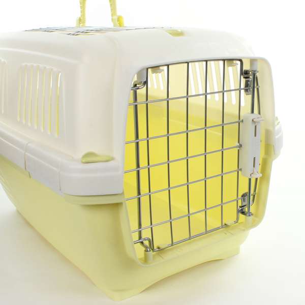 aran_gelb_0031 aran_gelb_0031